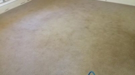 Carpet (before)