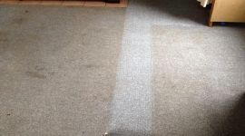 Carpet clean (clean run down the middle)